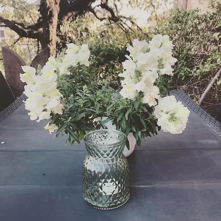 Il Castello Delle Meraviglie * Fontaneto d'Agogna