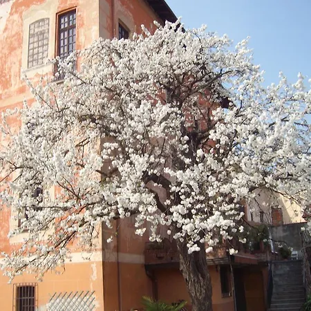 Lejlighed Il Castello Delle Meraviglie *