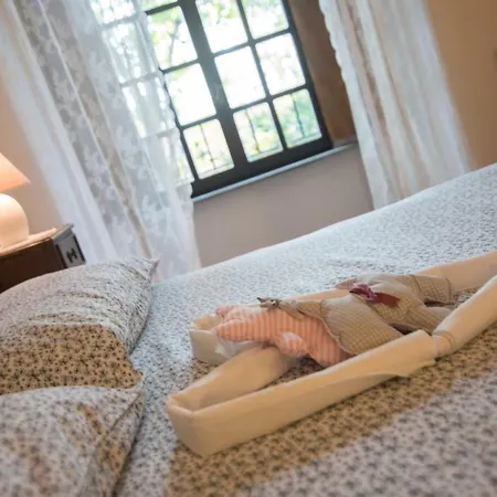 Il Castello Delle Meraviglie *